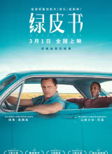 绿皮书封面