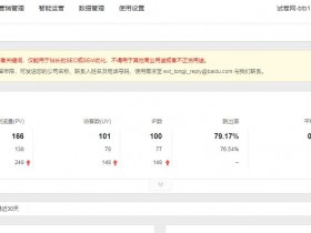 网站的流量破百了