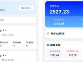 虚拟资料网盘拉新的套路,说说网盘拉新金字塔模式的套路