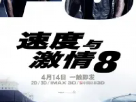 速度与激情8