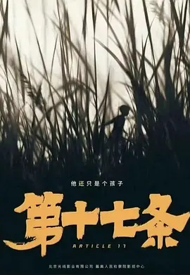 第十七条缩略图